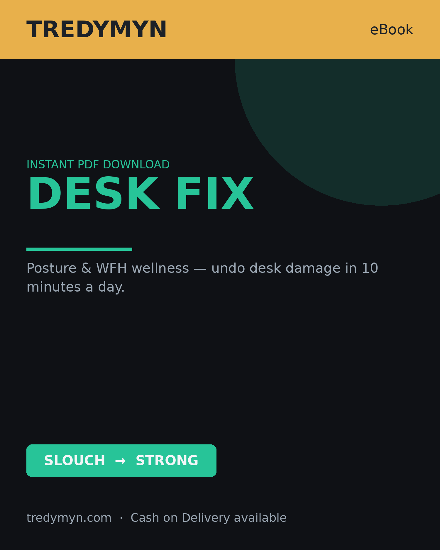 Desk Fix: Posture & WFH Wellness Guide (eBook, PDF)